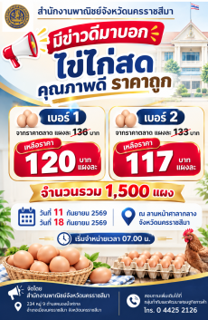 ไข่ไก่สดคุณภาพดี ราคาถูก