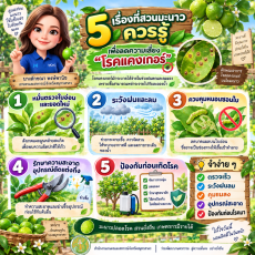 5เรื่องที่สวนมะนาวควรรู้