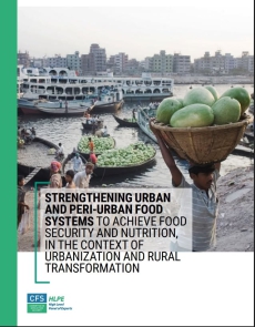CFSPolicyRecommendationson“StrengtheningUrbanandPeri-UrbanFoodSystemstoAchieveFoodSecurityandNutrition,