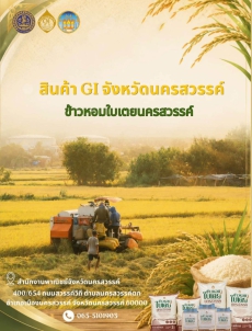 สินค้า GI จังหวัดนครสวรรค์ (ข้าวหอมใบเตยนครสวรรค์)