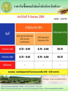 ราคารับซื้อผลปาล์มน้ำมันจังหวัดพังงา
