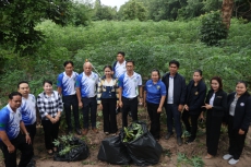 กษ.อำนาจเจริญร่วมงานสร้างการตระหนักรู้โรคใบด่างมันสำปะหลังกลุ่มแปลงใหญ่