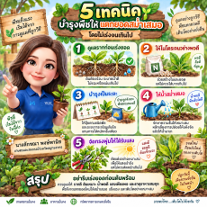 5 เทคนิคบำรุงพืชให้แตกยอดสม่ำเสมอ