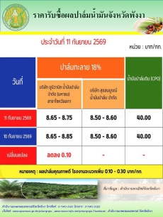 ราคารับซื้อผลปาล์มน้ำมันจังหวัดพังงา