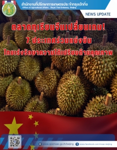 ตลาดทุเรียนจีนเปลี่ยนเกม!
