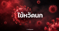 ออสเตรเลียพบไข้หวัดนก