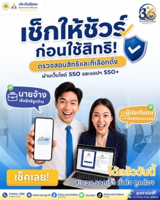 เลือกตั้งประกันสังคม