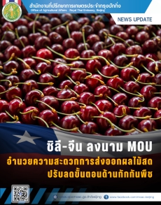ชิลี–จีนลงนามMOUอำนวยความสะดวกการส่งออกผลไม้สด