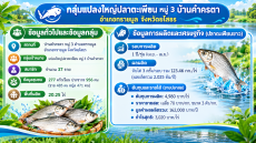กลุ่มแปลงใหญ่ปลาตะเพียน