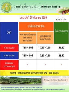 ราคารับซื้อผลปาล์มน้ำมันจังหวัดพังงา