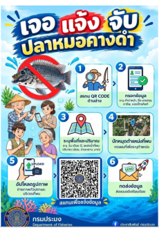 ปลาหมอคางดำ