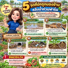 5 จุดที่มักถูกมองข้าม หลังน้ำท่วมฟาร์ม