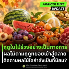 ฤดูใบไม้ร่วงอย่างเป็นทางการ