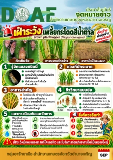 “สำนักงานเกษตรจังหวัดอำนาจเจริญ