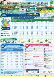 สถานการณ์อุทกภัยด้านการเกษตรในจังหวัดกาญจนบุรี