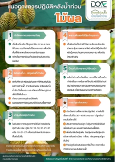 แนวทางการปฏิบัติหลังน้ำท่วม ไม้ผล