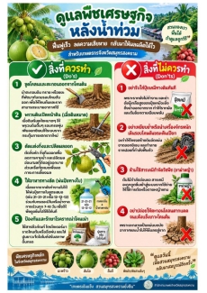 การดูแลพืชเศรษฐกิจ