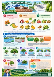 ความสามารถทนต่อสภาพน้ำท่วมขัง