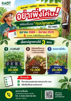 ใกล้เปิดแล้ว “ทุนปลูกแทน” ปี 2570