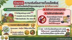 ประกาศความจริงเรื่องการเก็บเมล็ดพันธุ์