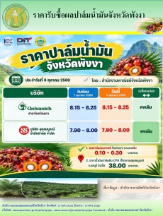 ราคารับซื้อผลปาล์มน้ำมันจังหวัดพังงา