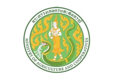 งบทดลองเดือนกุมภาพันธ์ 2569