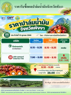 ราคารับซื้อผลปาล์มน้ำมันจังหวัดพังงา