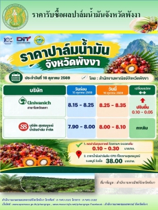 ราคารับซื้อผลปาล์มน้ำมันจังหวัดพังงา