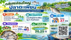 สรุปภาพรวมกลุ่มแปลงใหญ่ปลาตะเพียน