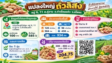 กลุ่มแปลงใหญ่ถั่วลิสง