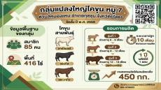 กลุ่มแปลงใหญ่โคขุน