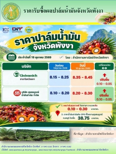 ราคารับซื้อผลปาล์มน้ำมันจังหวัดพังงา