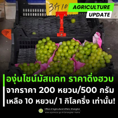 ทำอย่างไรให้“ผลไม้ยอดนิยม”ทำตลาดได้อย่างยั่งยืน