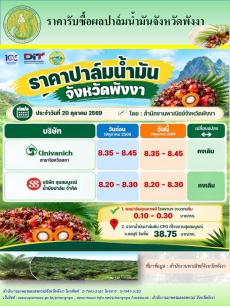 ราคารับซื้อผลปาล์มน้ำมันจังหวัดพังงา