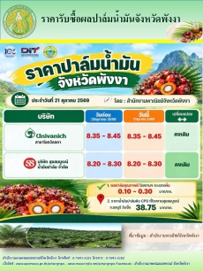 ราคารับซื้อผลปาล์มน้ำมันจังหวัดพังงา