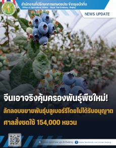 จีนเอาจริงคุ้มครองพันธุ์พืชใหม่!
