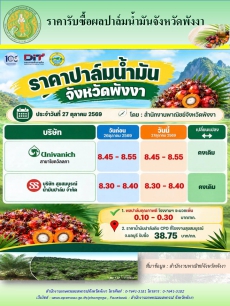 ราคารับซื้อผลปาล์มน้ำมันจังหวัดพังงา
