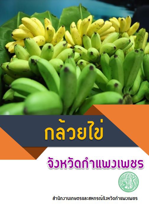 ข้อมูลเพื่อการวางแผนพัฒนาการเกษตรและสหกรณ์รายสินค้าของจังหวัดกำแพงเพชร