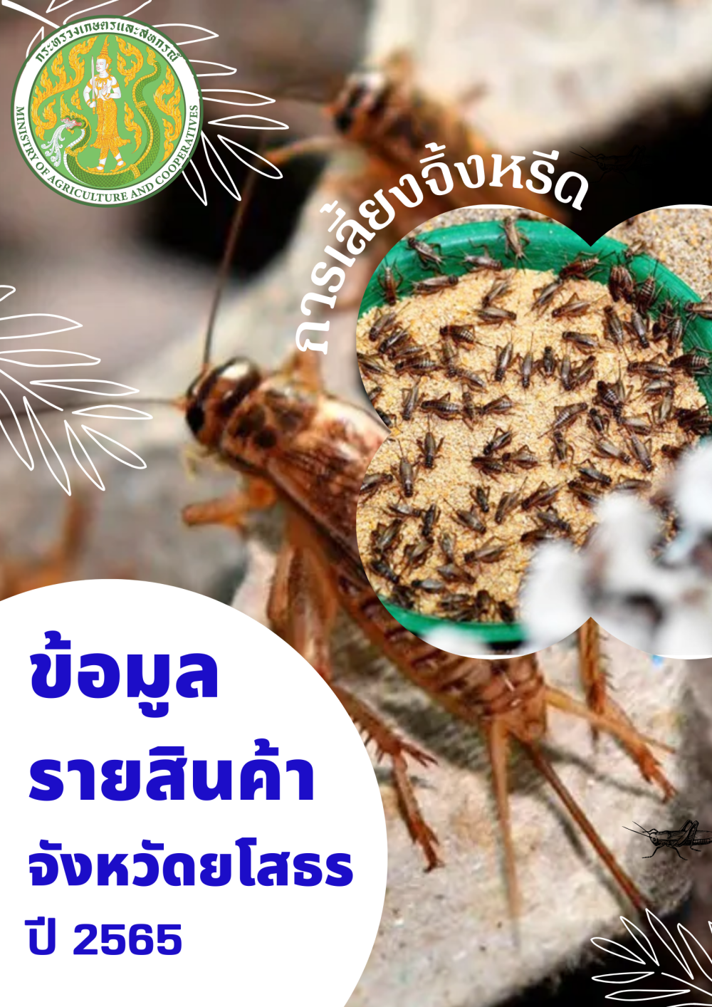 ข้อมูลรายสินค้าจังหวัดยโสธร ปี 2565