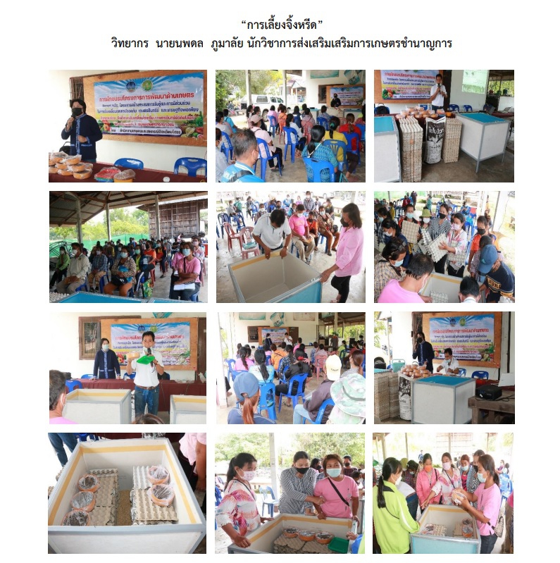 รายงานสรุปผลการดำเนินงานกิจกรรมจัดตั้งและขับเคลื่อนโรงเรียนเกษตรอินทรีย์วิถียโสธร