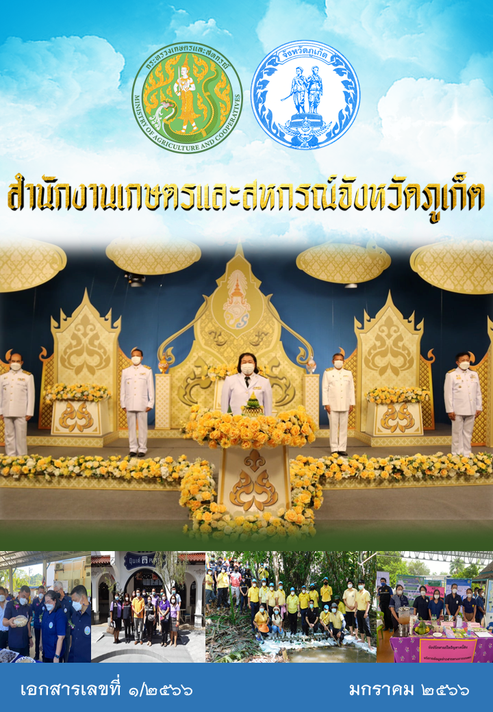 รายงานประจำปี 2565