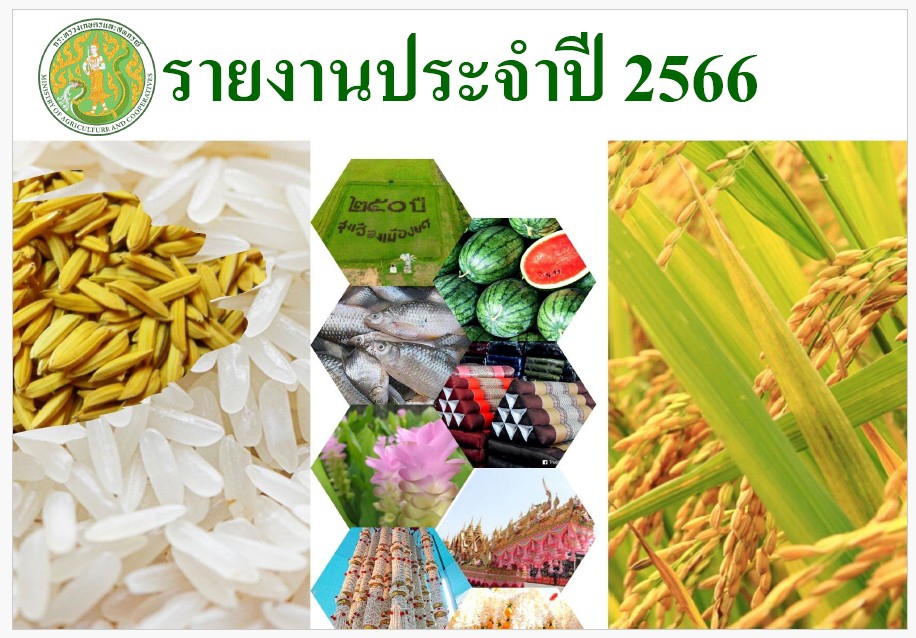 รายงานประจำปี 2566