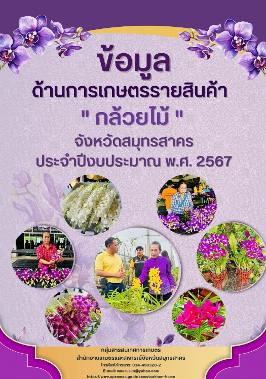 ข้อมูลรายสินค้าจังหวัดสมุทรสาคร ประจำปี 2567 กล้วยไม้
