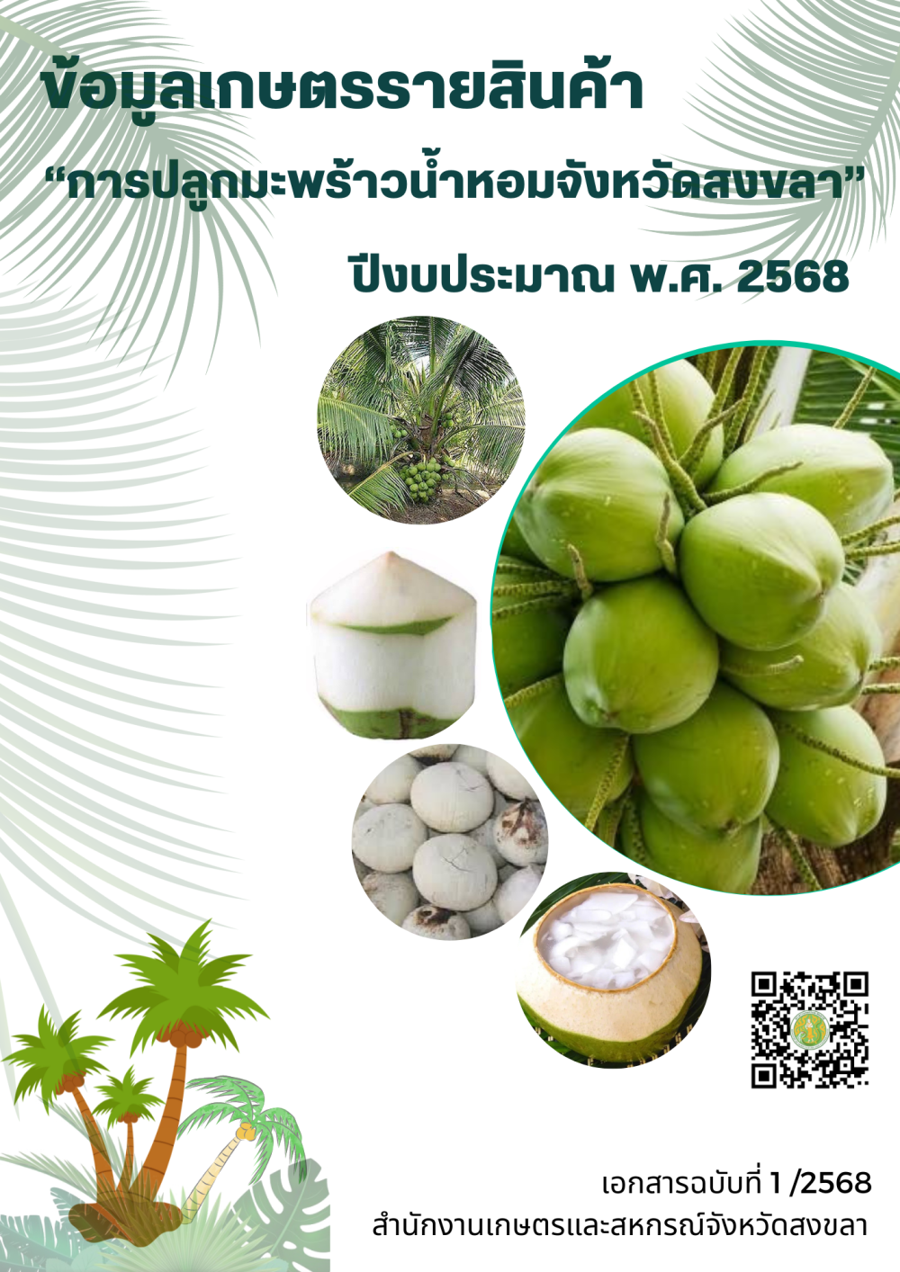 ข้อมูลรายสินค้าการปลูกมะพร้าวน้ำหอมจังหวัดสงขลา