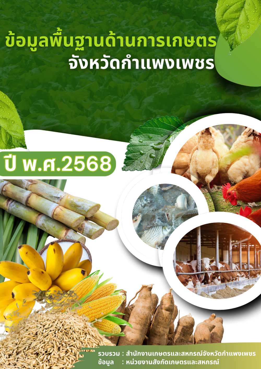ข้อมูลพื้นฐานด้านการเกษตร
