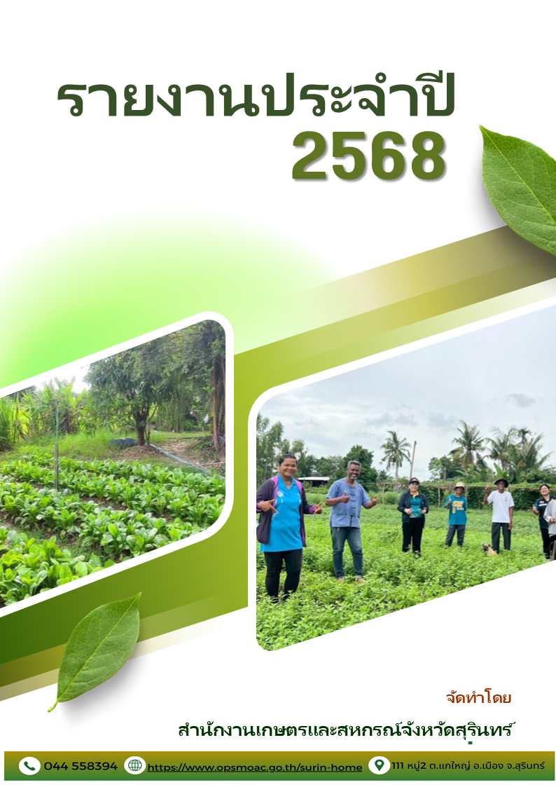 รายงานประจำปี 2568