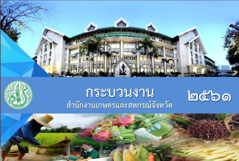 กระบวนงานของสำนักงานเกษตรและสหกรณ์จังหวัด