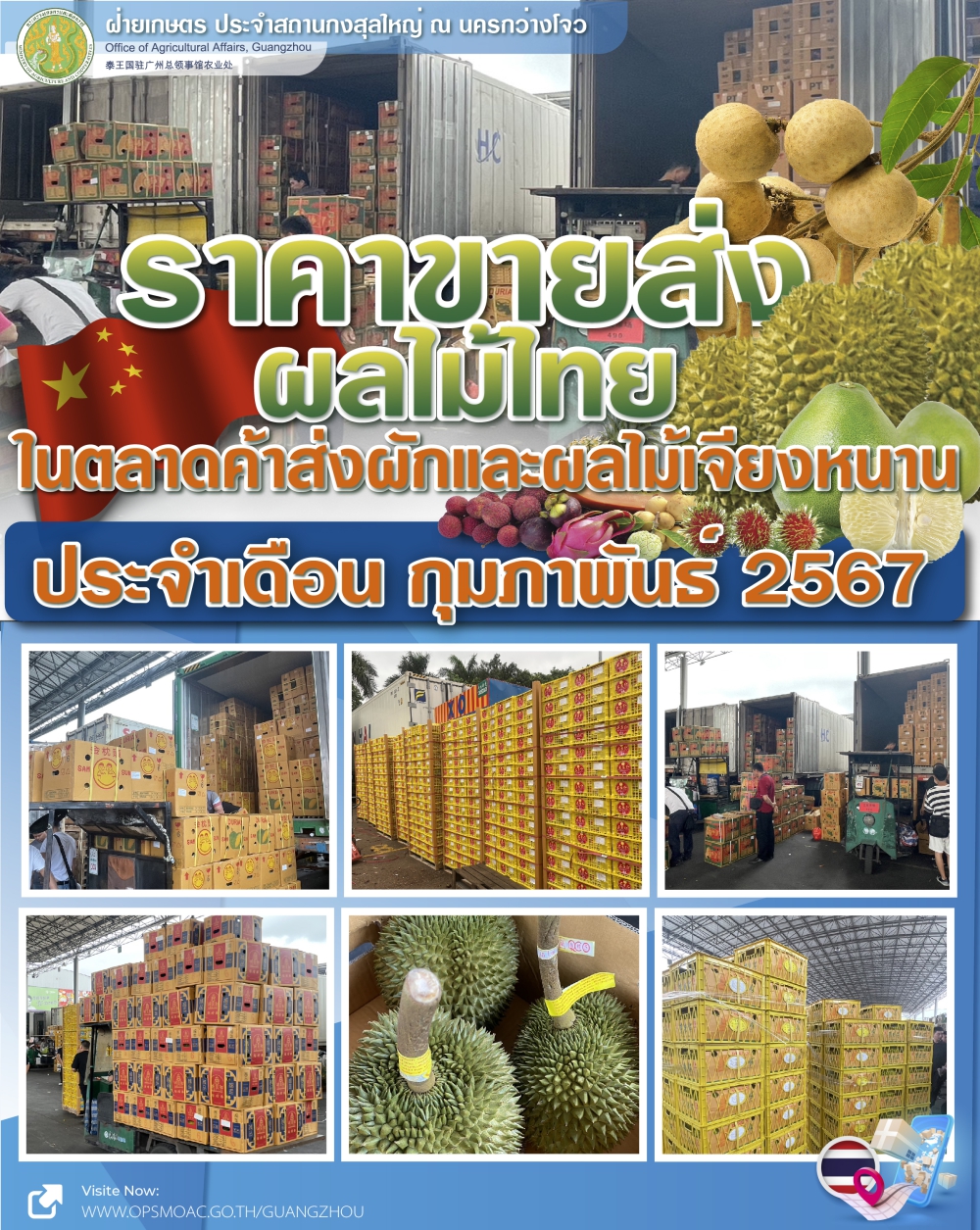 ราคาขายส่งผลไม้ไทยและเวียดนามที่ตลาดเจียงหนาน