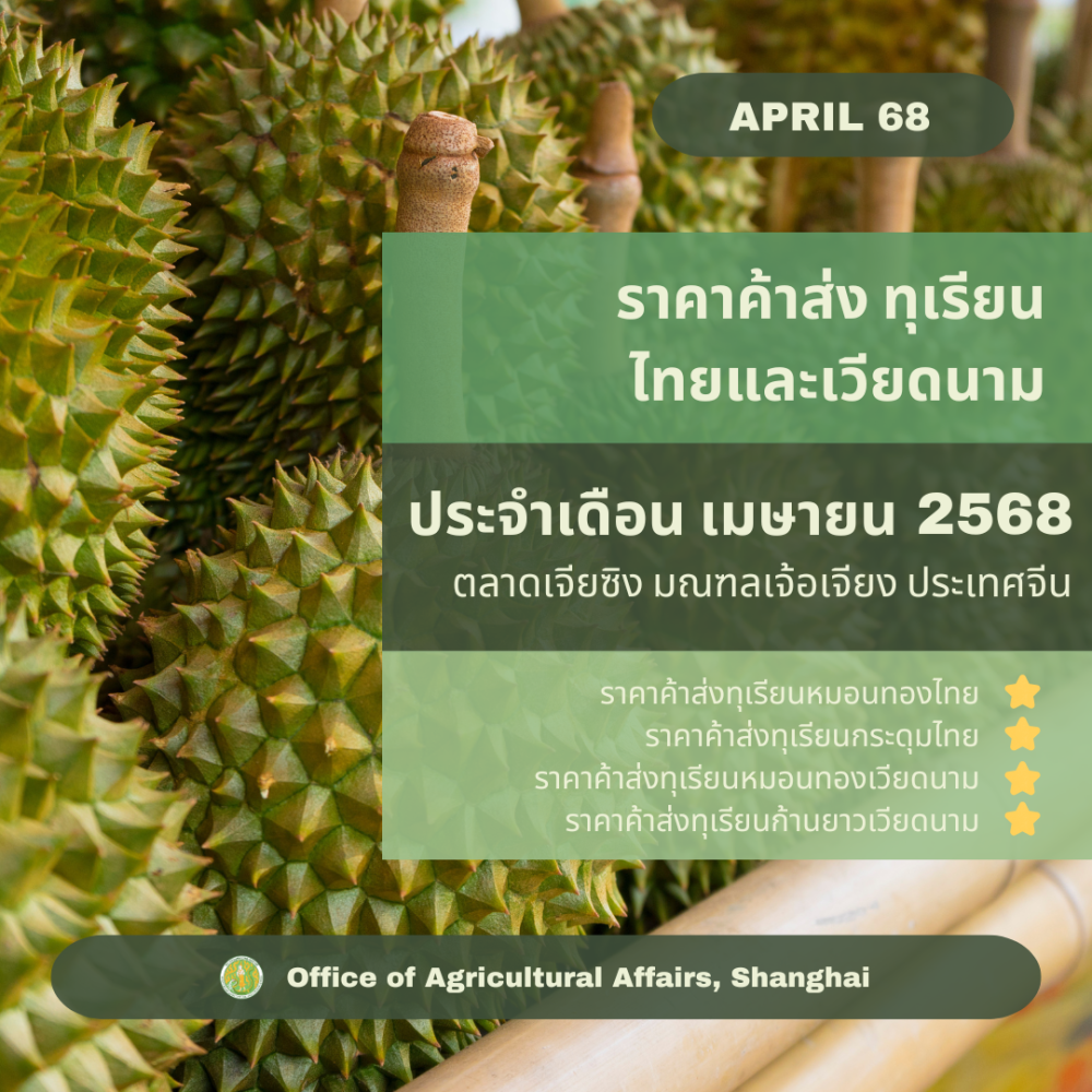 รายงานราคาทุเรียนตลาดเจียซิงมณฑลเจ้อเจียง
