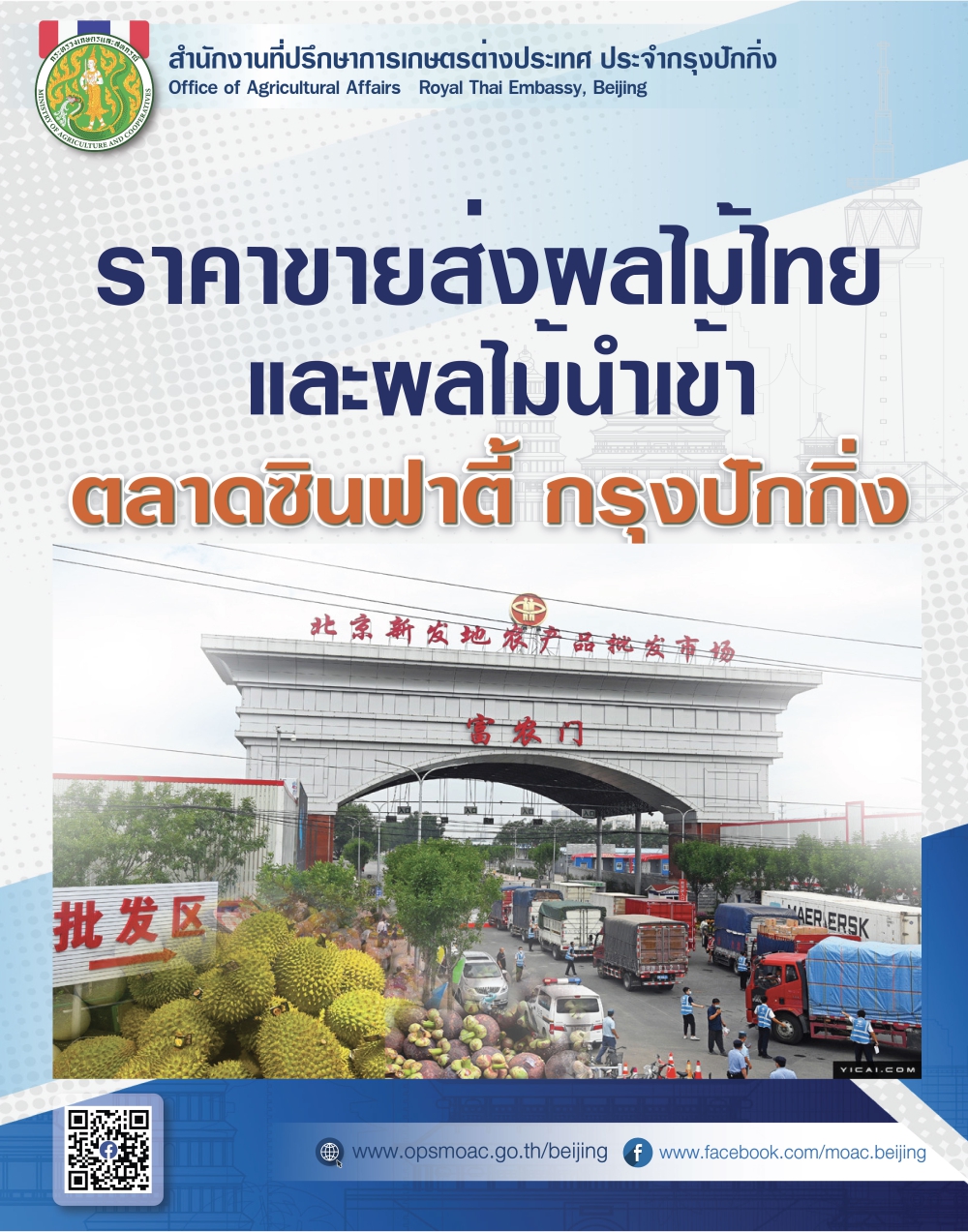 สถานการณ์และราคาผลไม้ขายส่งจากตลาดซินฟาตี้และราคาขายปลีกประจำเดือนสิงหาคม